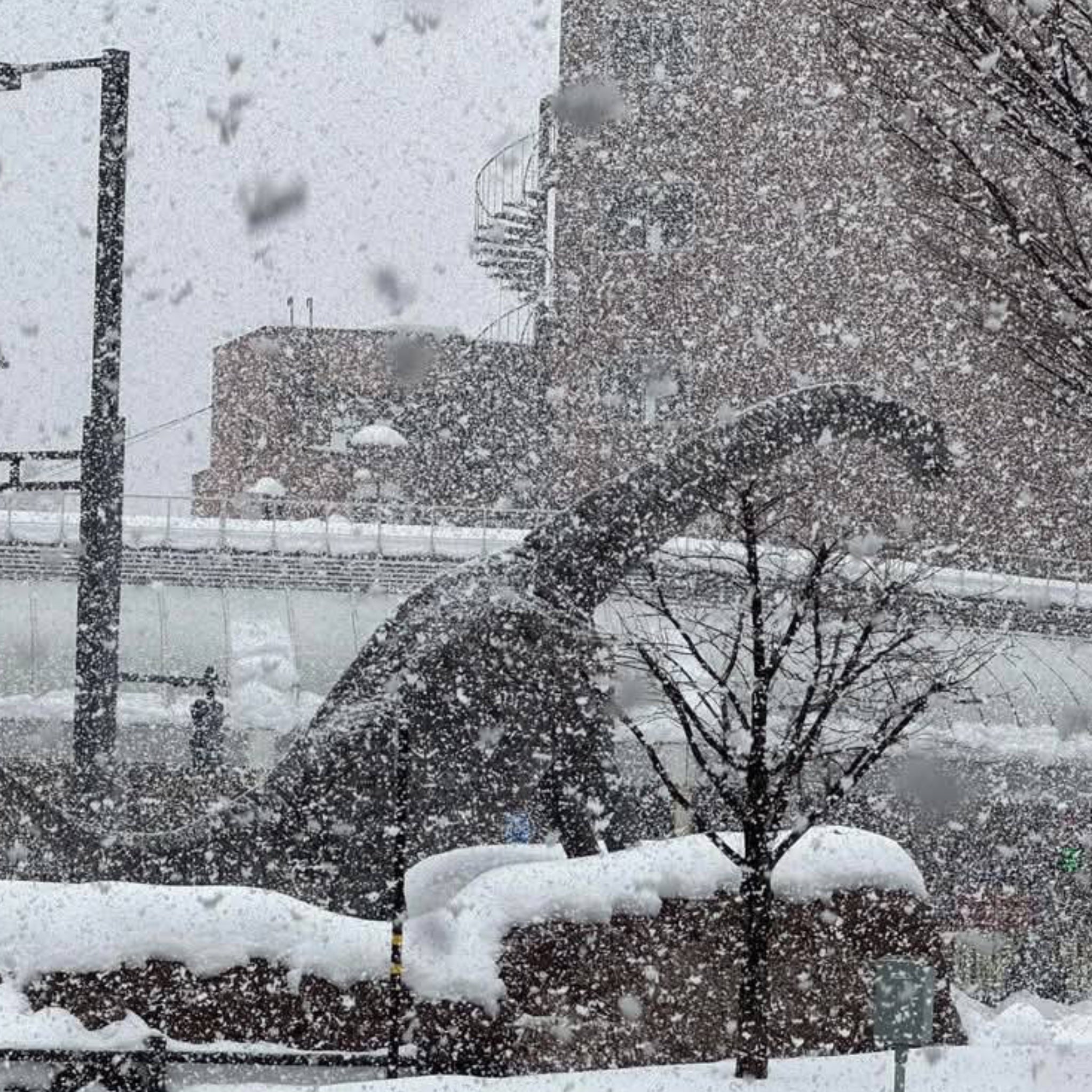 福井県の冬　大雪は大丈夫？