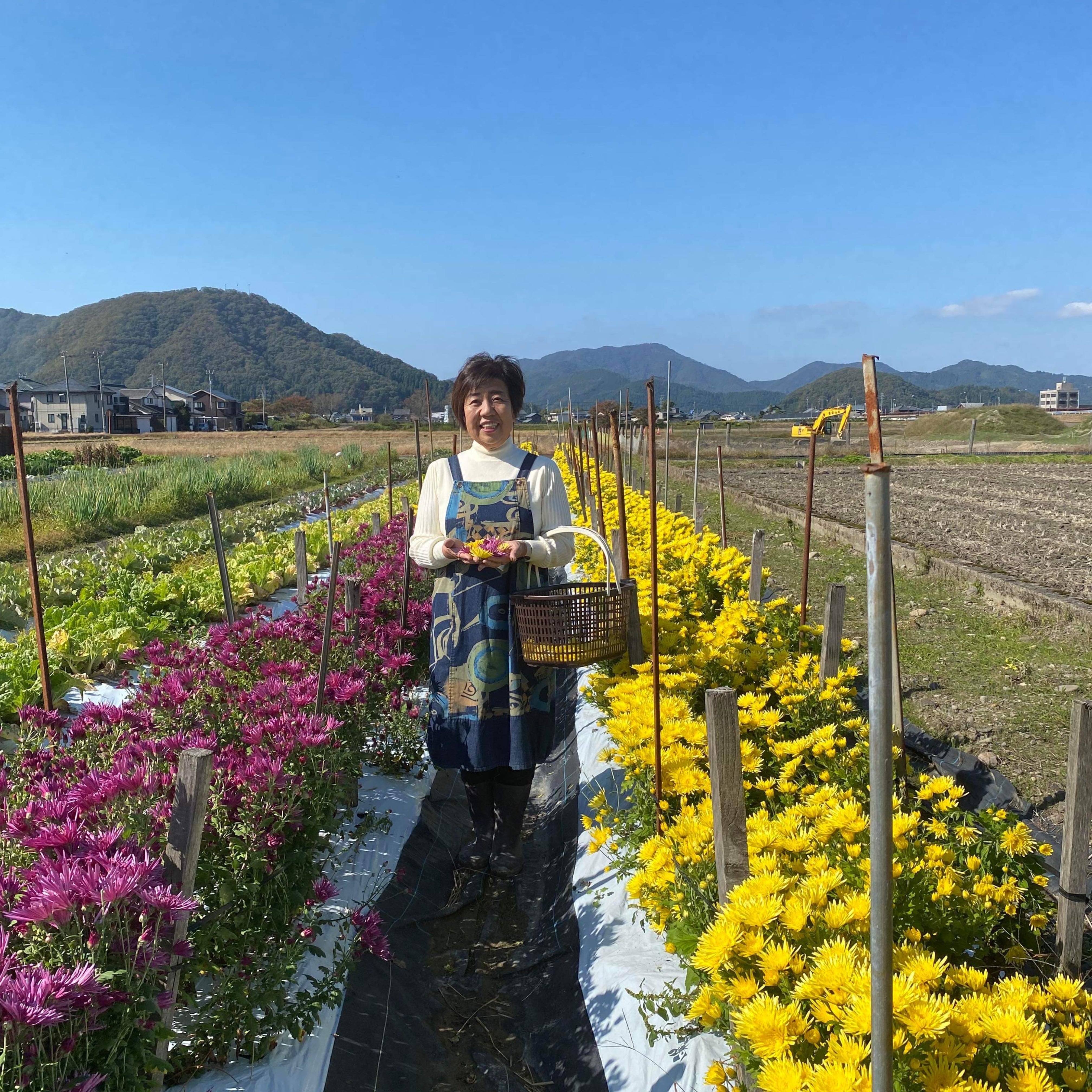 青いハーブと菊のお茶